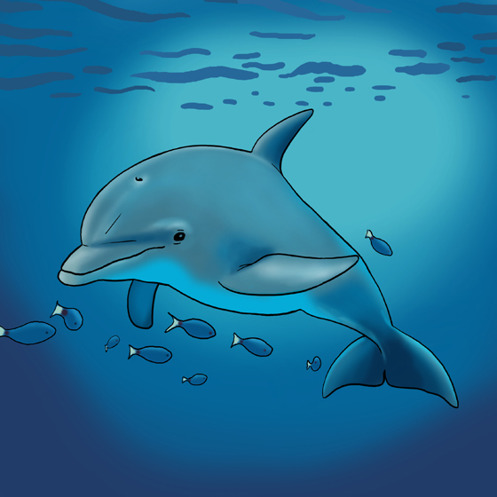 Dolfijn in zee